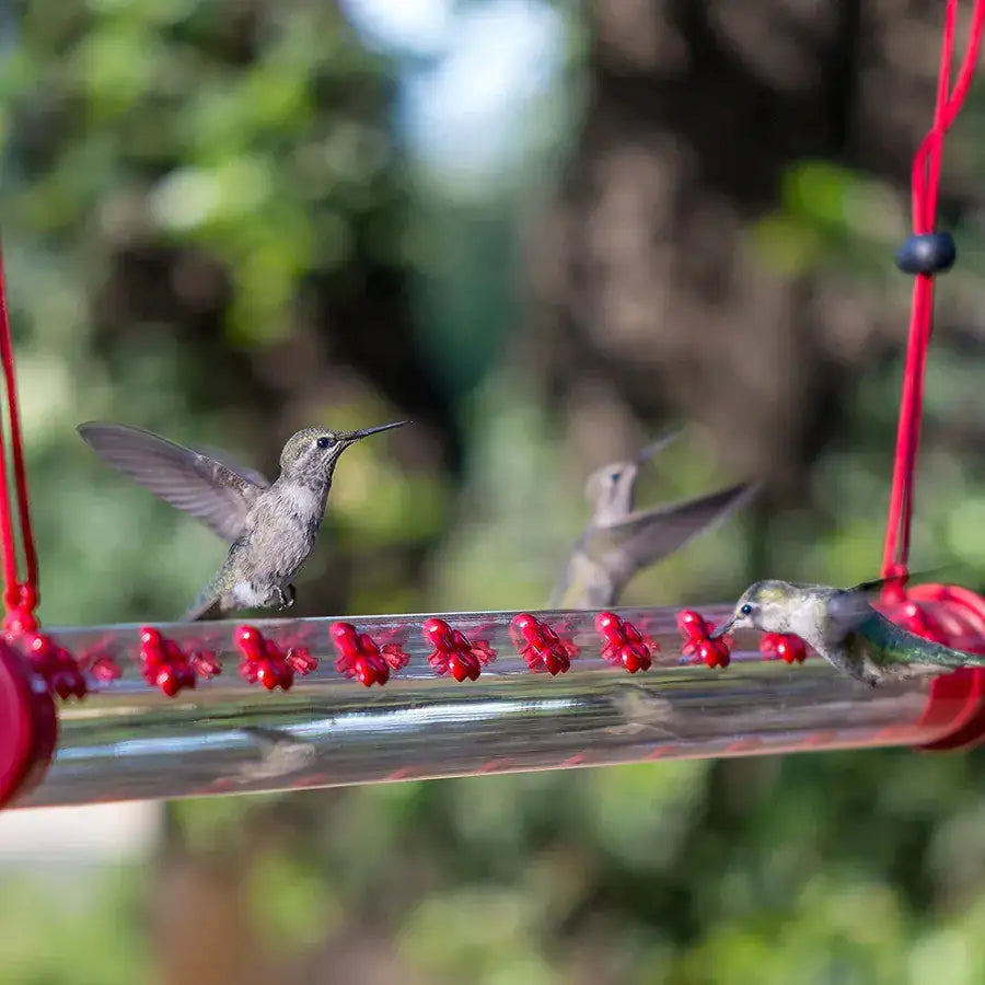 Hummingbird Feeder